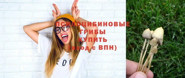 круглые Алексин