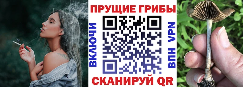 закладки KRAKEN онион Галлюциногенные грибы MAGIC MUSHROOMS Клин