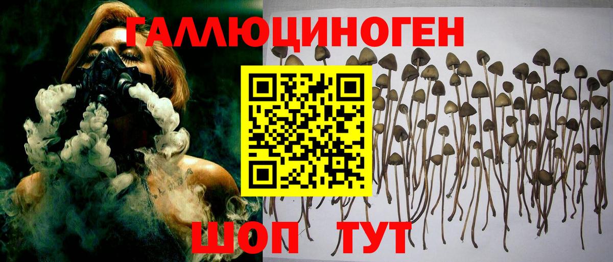 Псилоцибиновые грибы мицелий Клин